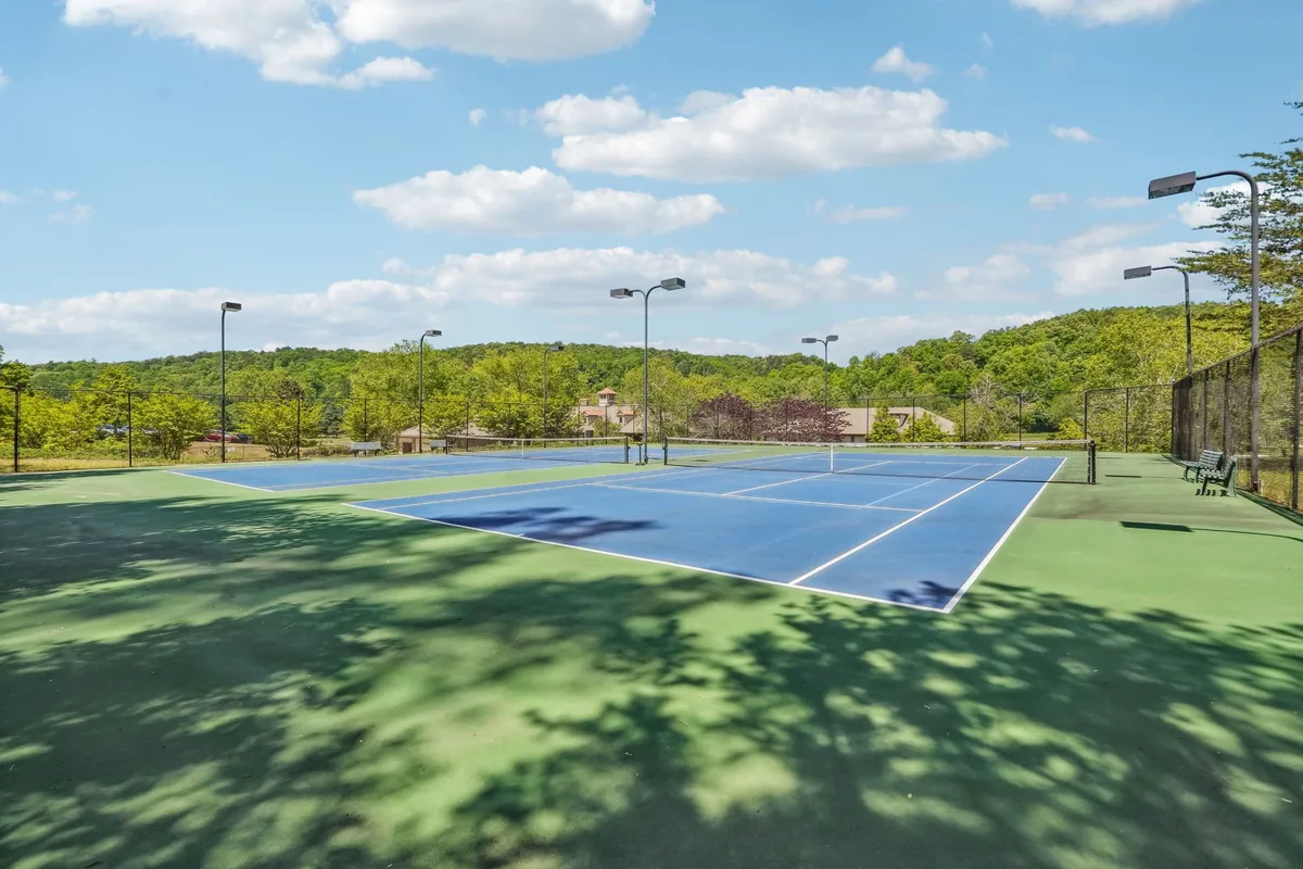 Where Can Beginners Find Pickleball Lessons Near Dahlonega?